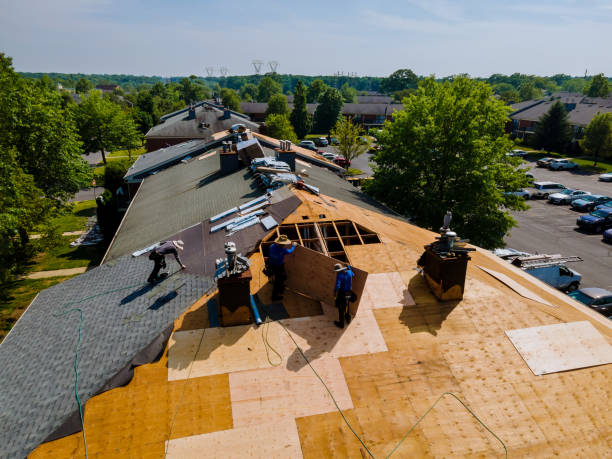 Best Roof Gutter Cleaning  in Fort Belvoir, VA